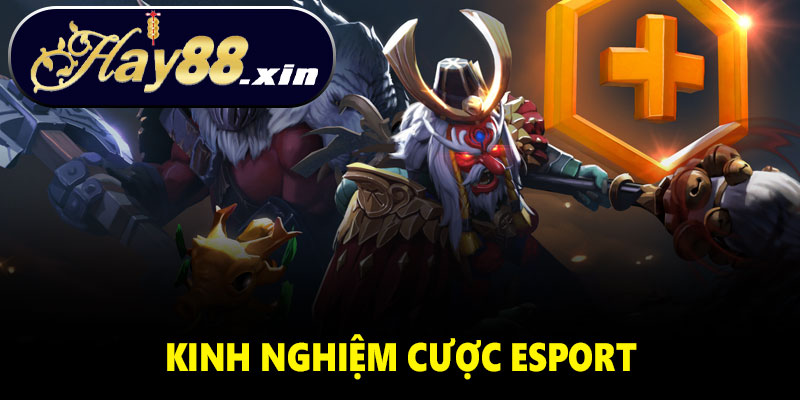 Kinh nghiệm cược Esport Hay88 hiệu quả